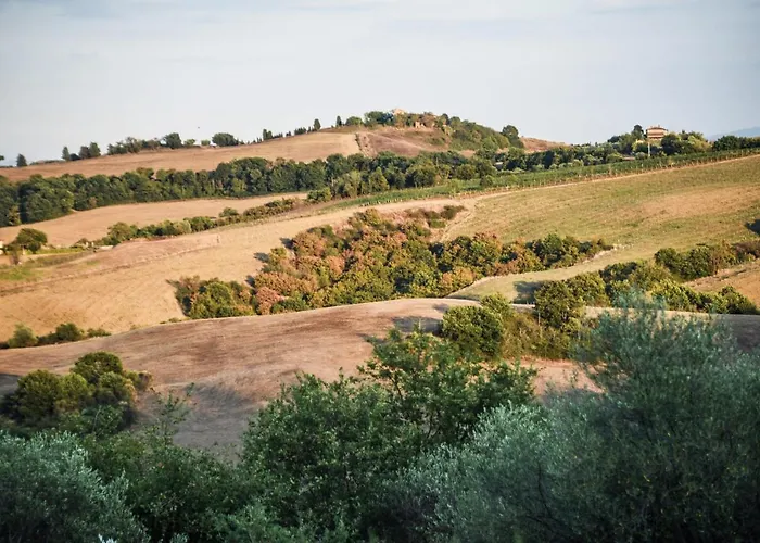 Poggio Paradiso & Resort Montefollonico